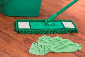 regular house cleaning service